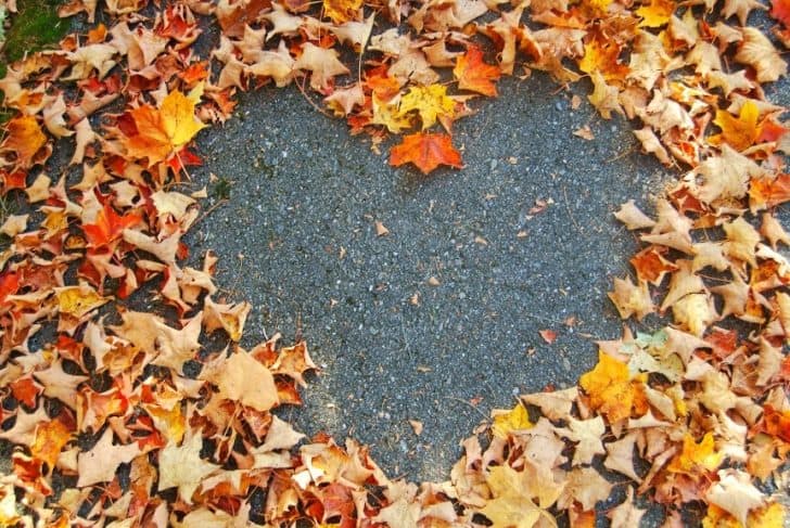 Autumn-Leaf-Heart