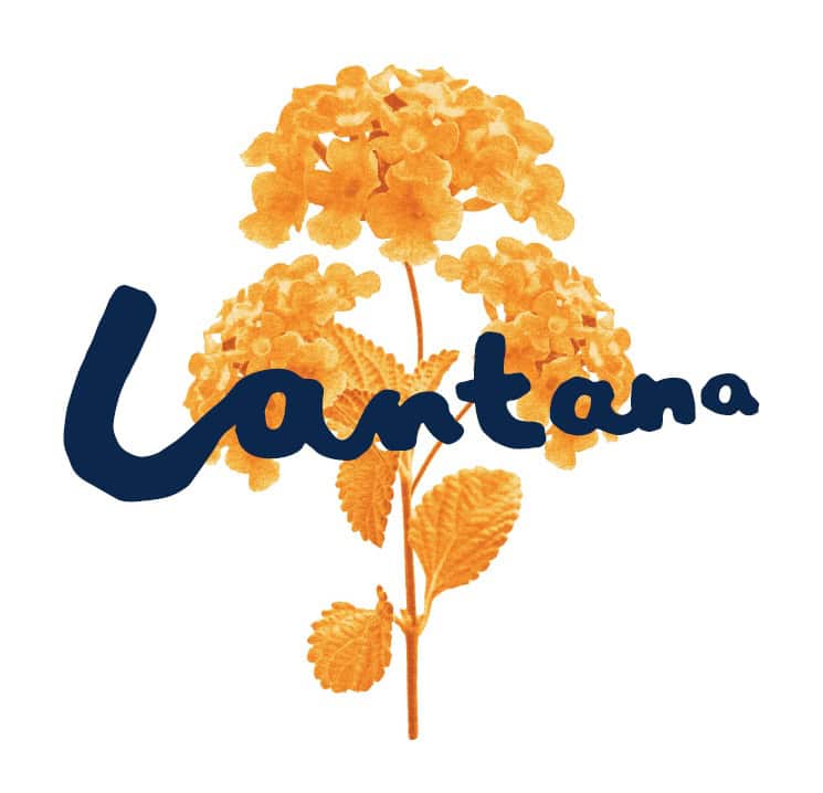offer_banner_image